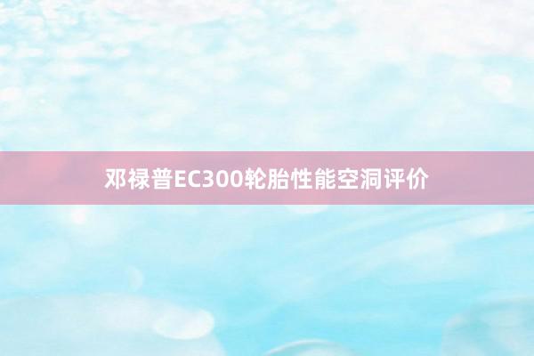 邓禄普EC300轮胎性能空洞评价