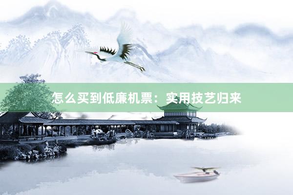 怎么买到低廉机票：实用技艺归来