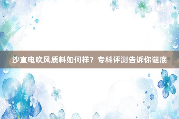 沙宣电吹风质料如何样？专科评测告诉你谜底